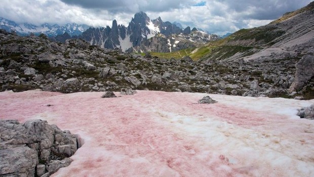A neve vermelha aparece nos Alpes durante o fim da primavera e o início do verão, quando o derretimento do gelo libera nutrientes para o crescimento de algas (Foto: BOB GIBBONS/ALAMY via BBC)