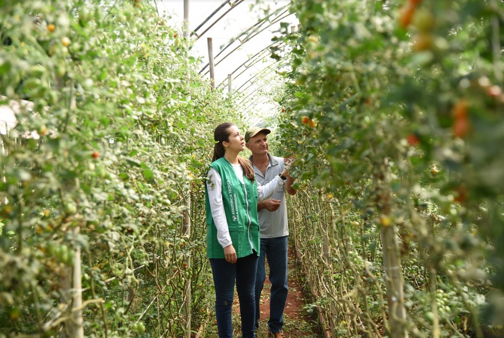 Cursos do Senar/MS promovem qualificação profissional para 15 mil pessoas em MS — Foto: Divulgação