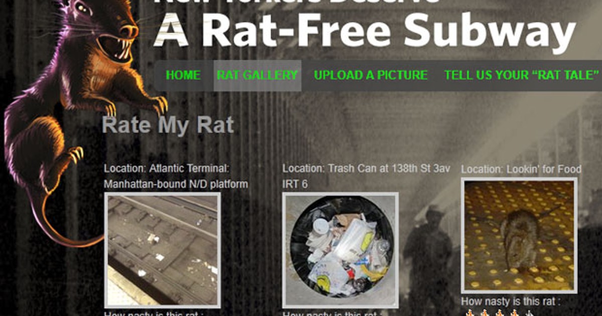 G1 - Rato maior que gato é capturado no Irã em operação do governo -  notícias em Planeta Bizarro