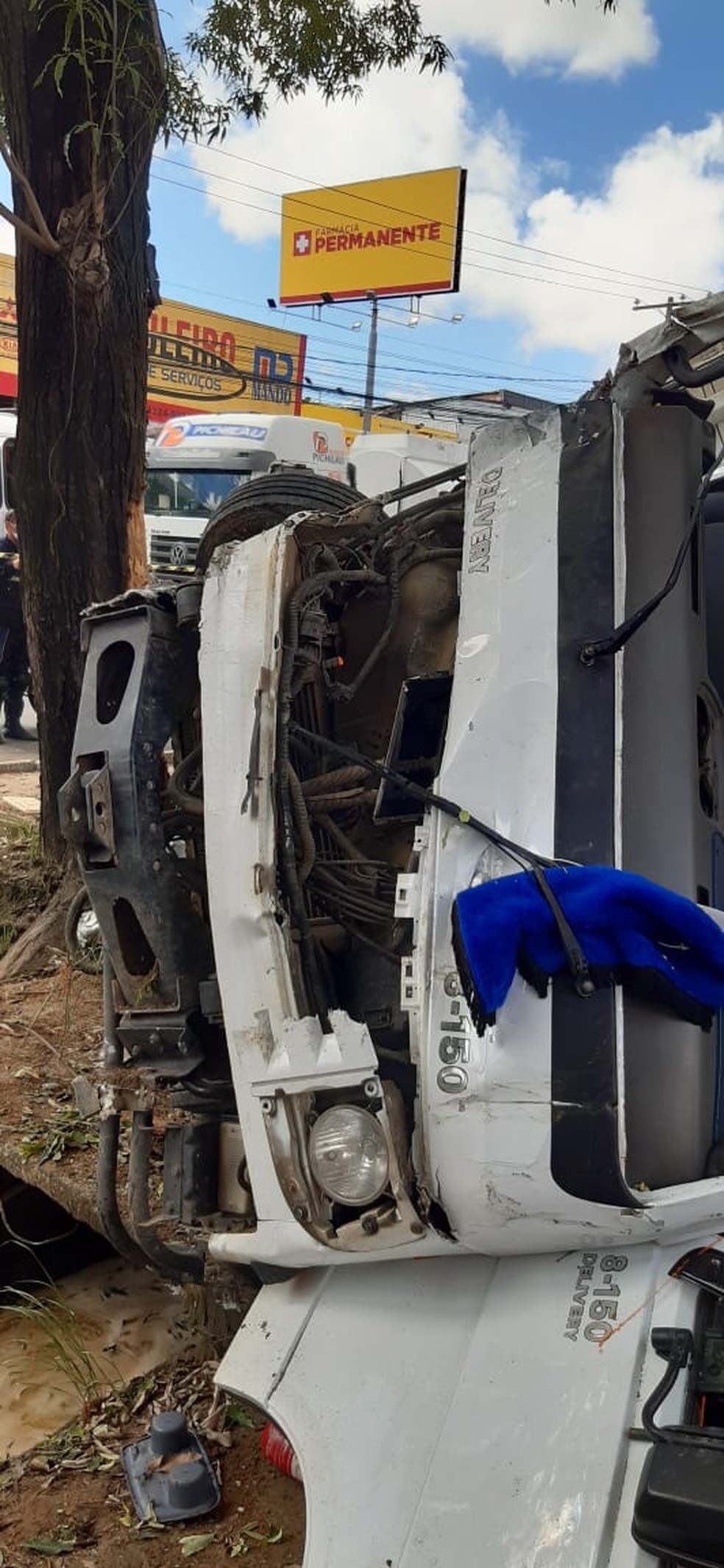 Caminhão bate em árvore em Maceió, AL — Foto: Divulgação/Corpo de Bombeiros de Alagoas 