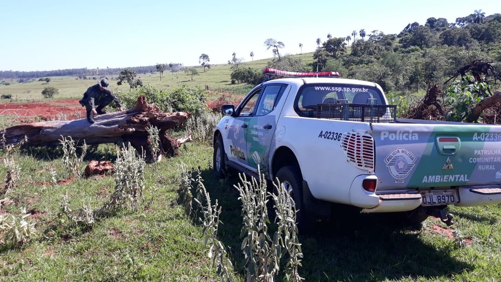 Imagens de satélite indicaram a derrubada de árvores em fazenda em Caiuá — Foto: Polícia Militar Ambiental