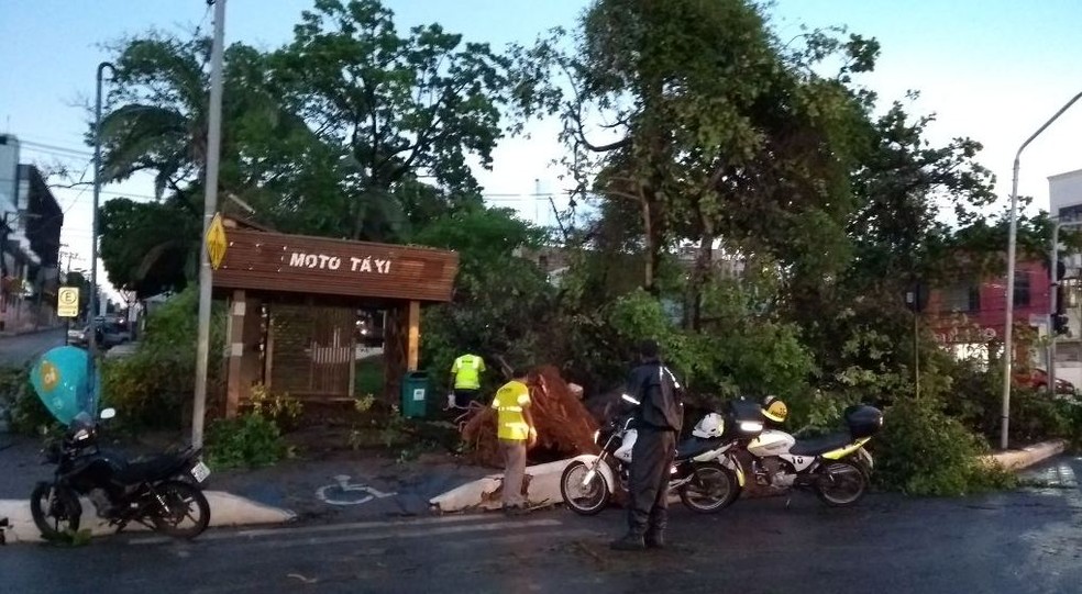 Ponto de táxi também foi atingido com quedas de árvores durante vendaval em Rio Branco (Foto: Lillian Lima/Arquivo pessoal )