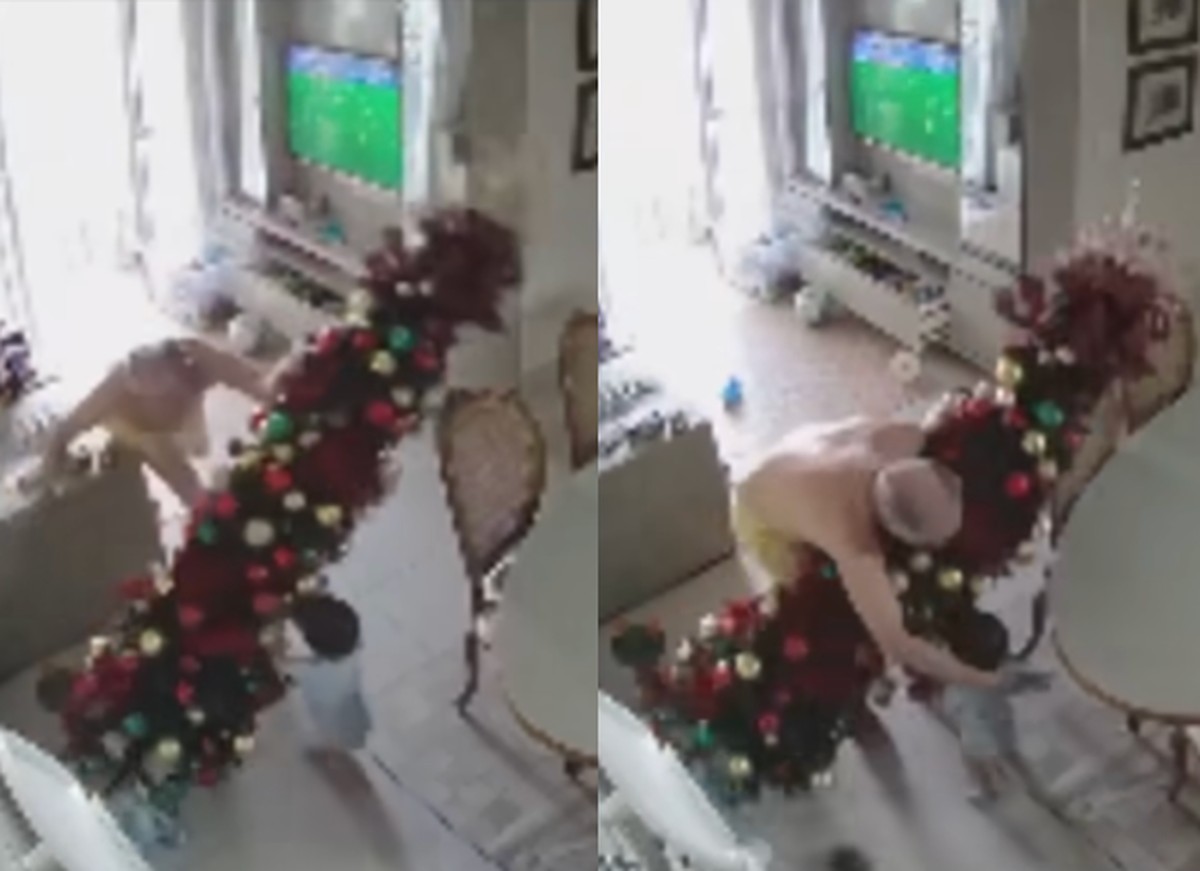 Vídeo: ao tentar impedir que o neto derrubasse a árvore de Natal avô cai em  cima da decoração e viraliza | Natal | Crescer