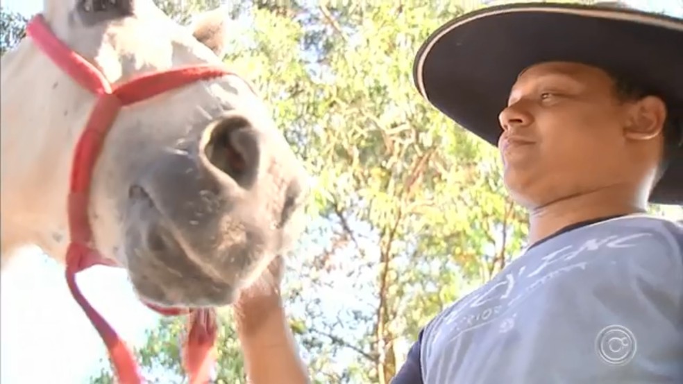 Dono tem o cavalo há dois em Várzea Paulista — Foto: Reprodução/TV TEM
