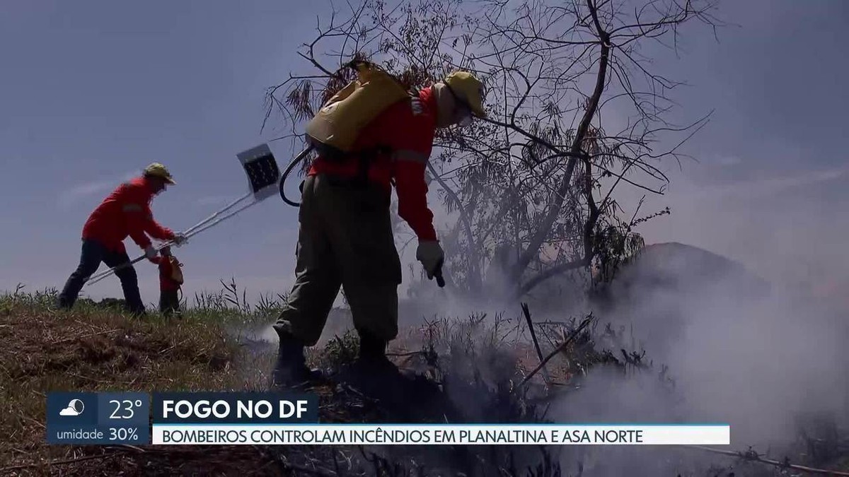 Fogo chega perto de apartamentos da Asa Norte, em Brasília | Distrito ...