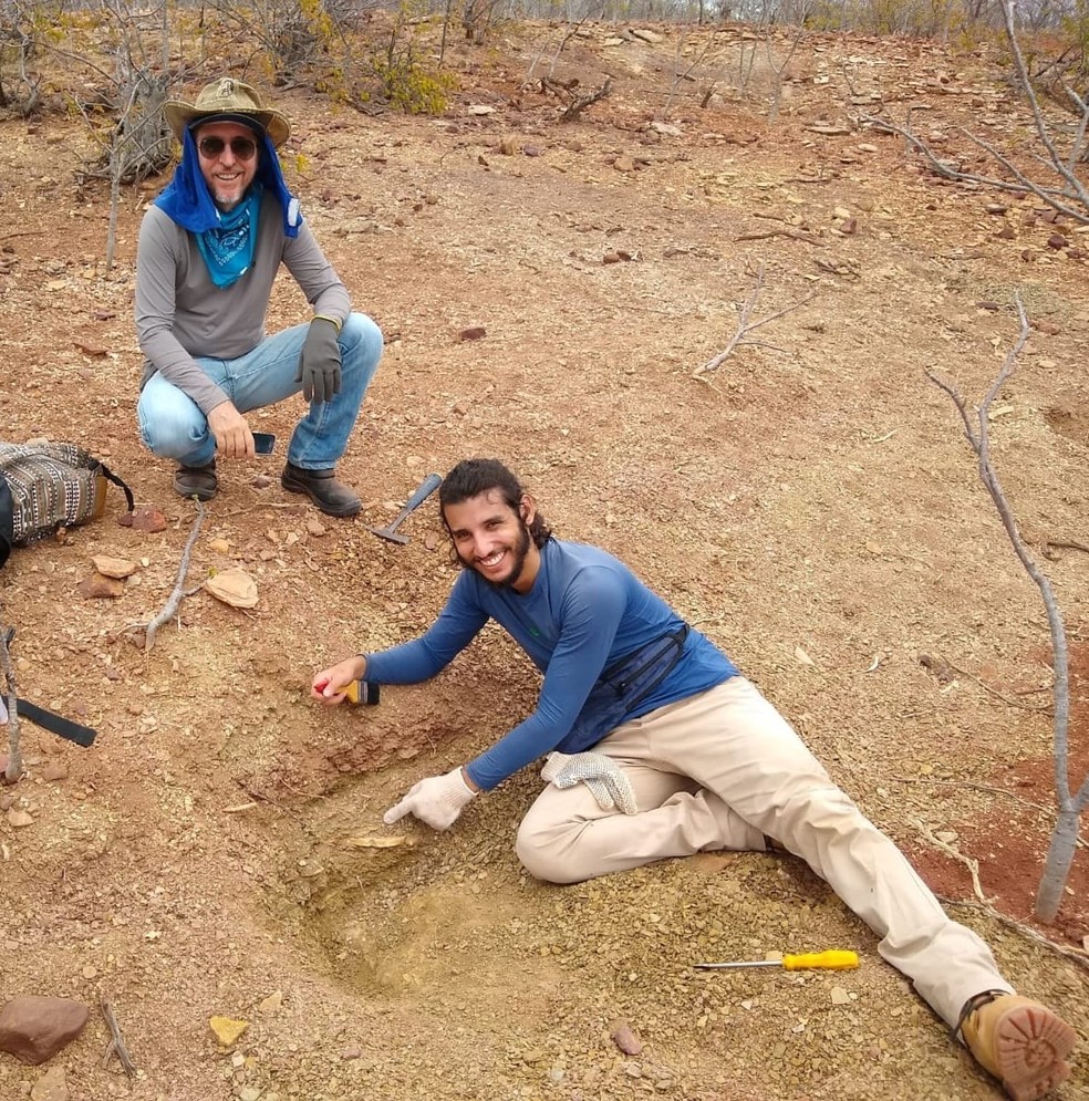 Pesquisadores da UPFE que descobriram dinossauro em Ibimirim querem realizar novas escavações no local — Foto: Cortesia