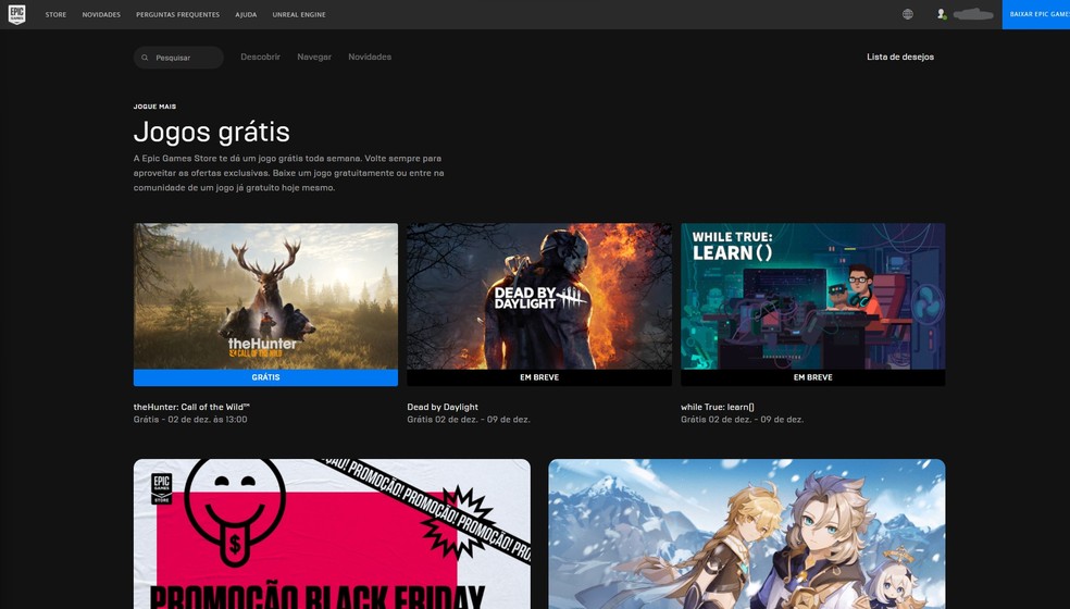A Epic Games Store oferece jogos grátis para os usuários — Foto: Reprodução/Bruno Magalhães