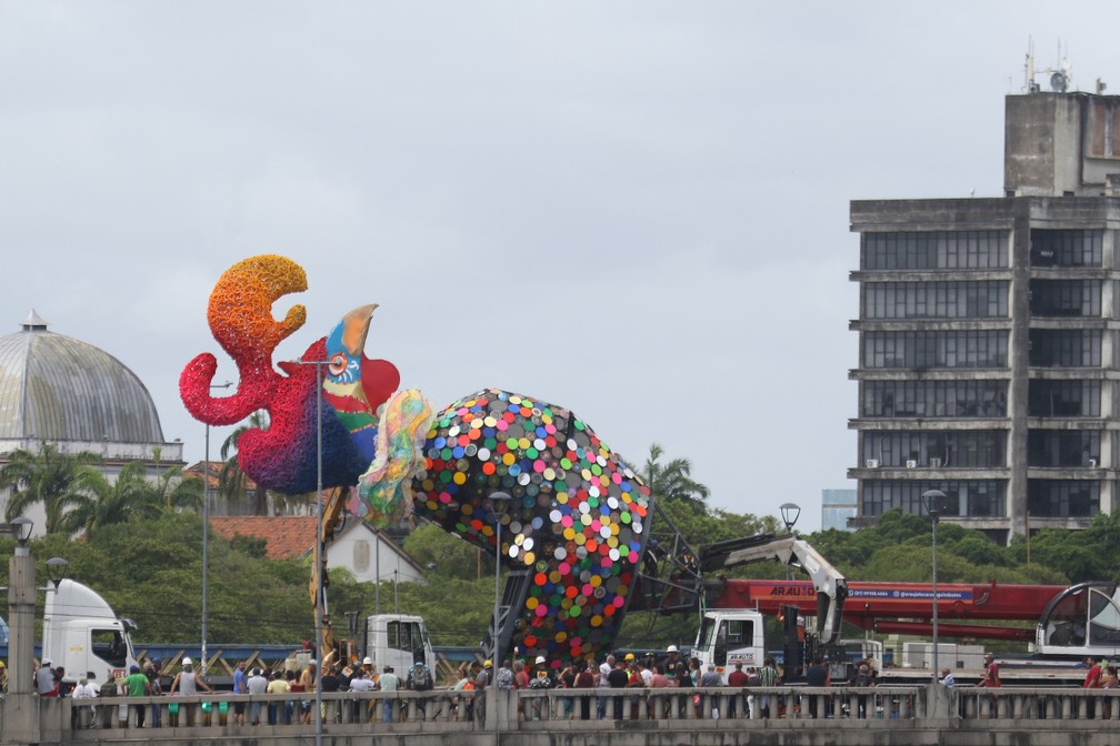 Montagem Do Galo Gigante No Recife Fotos Carnaval 2020 Em Pernambuco G1