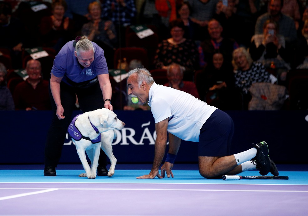 Bahrami brinca com cãodula durante partida — Foto: REUTERS/Henry Nicholls