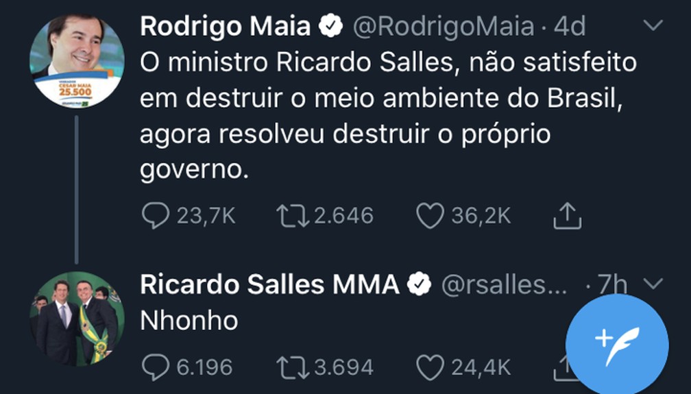Ministro do Meio Ambiente chama presidente da Câmara, Rodrigo Maia, de 'Nhonho', em rede social — Foto: Reprodução/Twitter