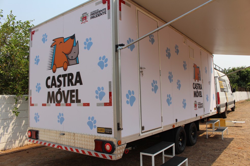 Cães e gatos serão castrados nos bairros de Presidente Prudente — Foto: Mariana Padovan