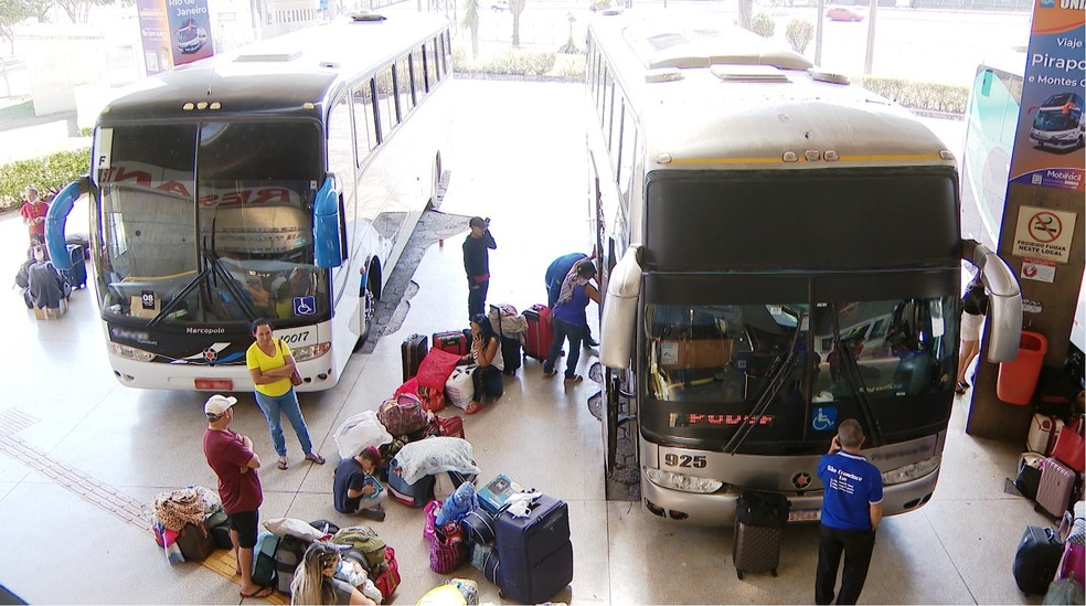 Ônibus apreendidos durante fiscalização da ANTT, em Uberlândia — Foto: TV Integração/Reprodução