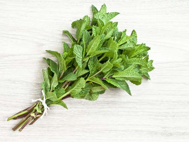 A bunch of freshly picked mint. (Foto: Getty Images)