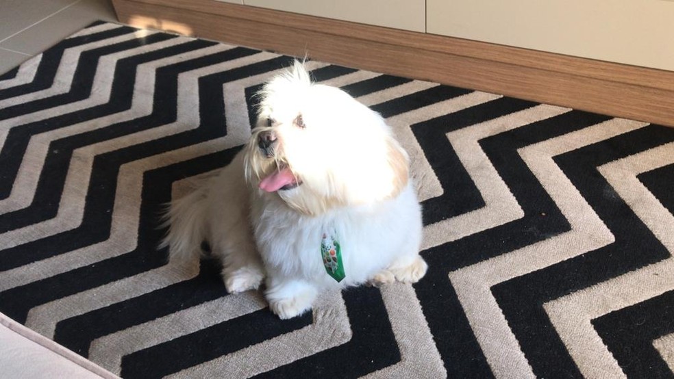 Tapetes são ótimas opções para quem prefere não trocar tudo — Foto: Arquivo Pessoal/Júlia Nunes