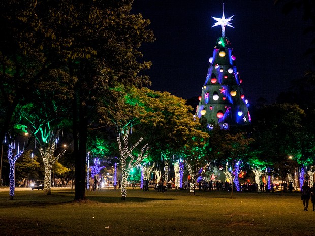 17/12 - Árvore de natal é vista em meio à árvores decoradas com luzes no parque do Ibirapuera, em São Paulo (Foto: Marcelo Brandt/G1)