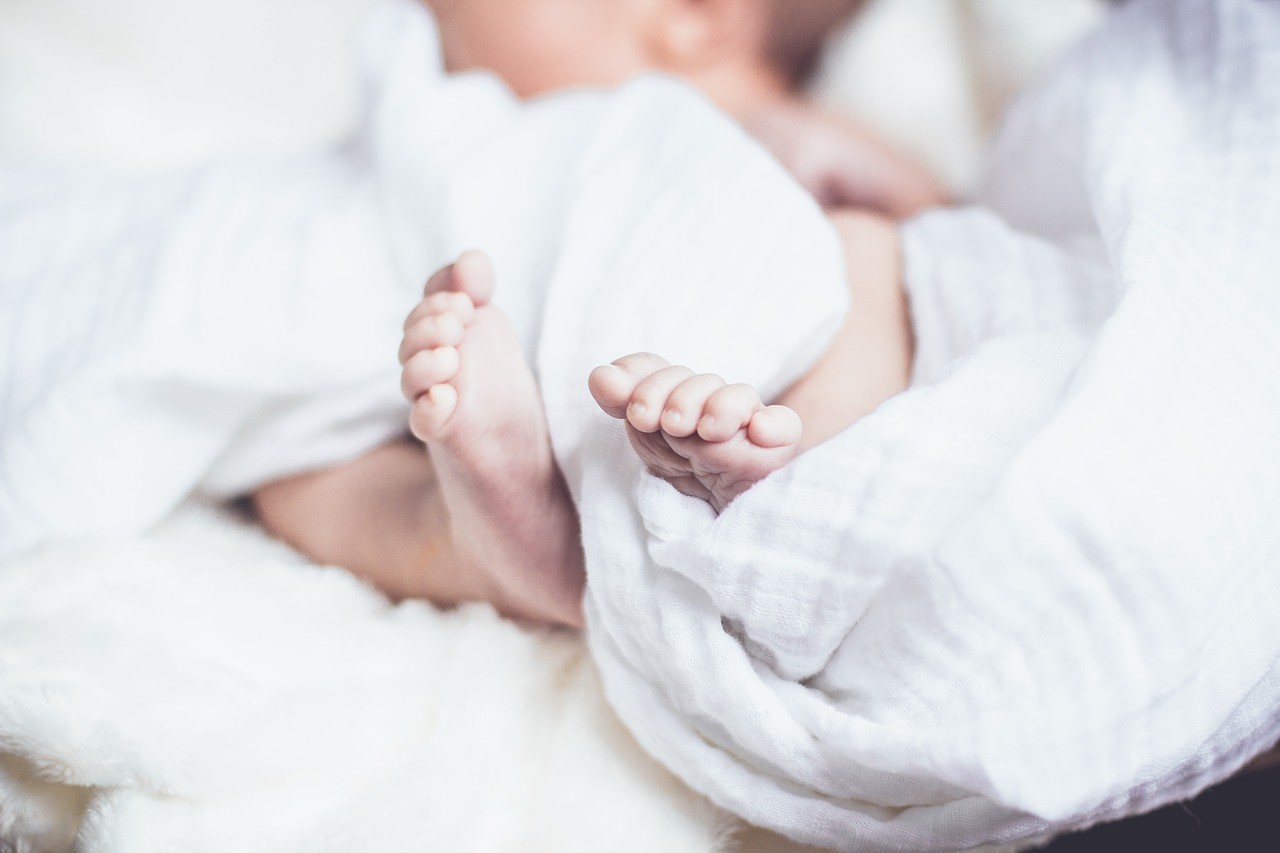 Crianças concebidas por fertilização in vitro têm um risco 45% maior de mortalidade nas primeiras semanas de vida (Foto: Pixabay)