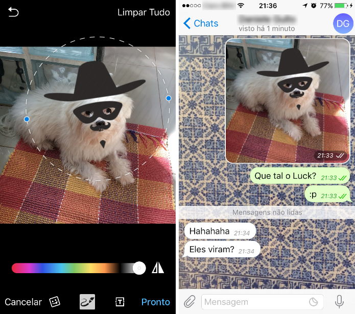 O pacote de máscaras estará no edição de imagens do Telegram e poderá ser compartilhado (Foto: Reprodução/Daniel Ribeiro)