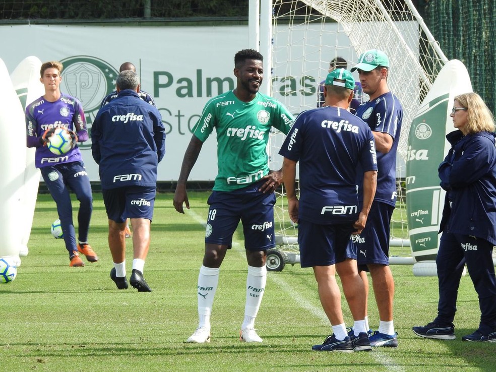 Ramires vai a campo e continua em evolução no Palmeiras — Foto: Felipe Zito