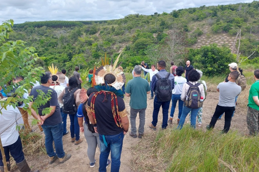 Fundo ambiental do sul da Bahia tem inscrições abertas para submissão de projetos socioambientais