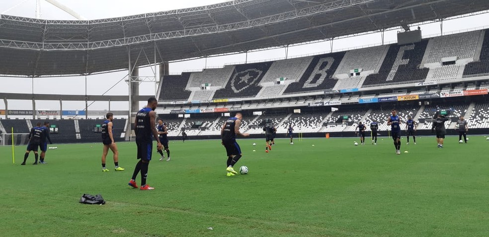 Botafogo treinou no campo principal do Nilton Santos nesta manh&atilde; &mdash; Foto: Divulga&ccedil;&atilde;o/Botafogo