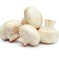cogumelos (Foto: Thinkstock)