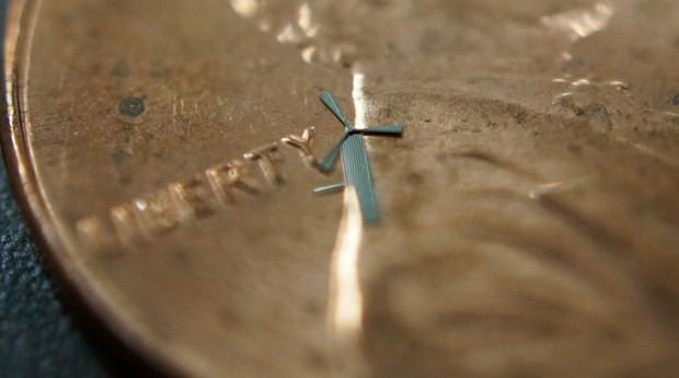 Tamanho do moinho fica mais evidenciado quando o objeto é colocado sobre uma moeda (Foto: Divulgação)
