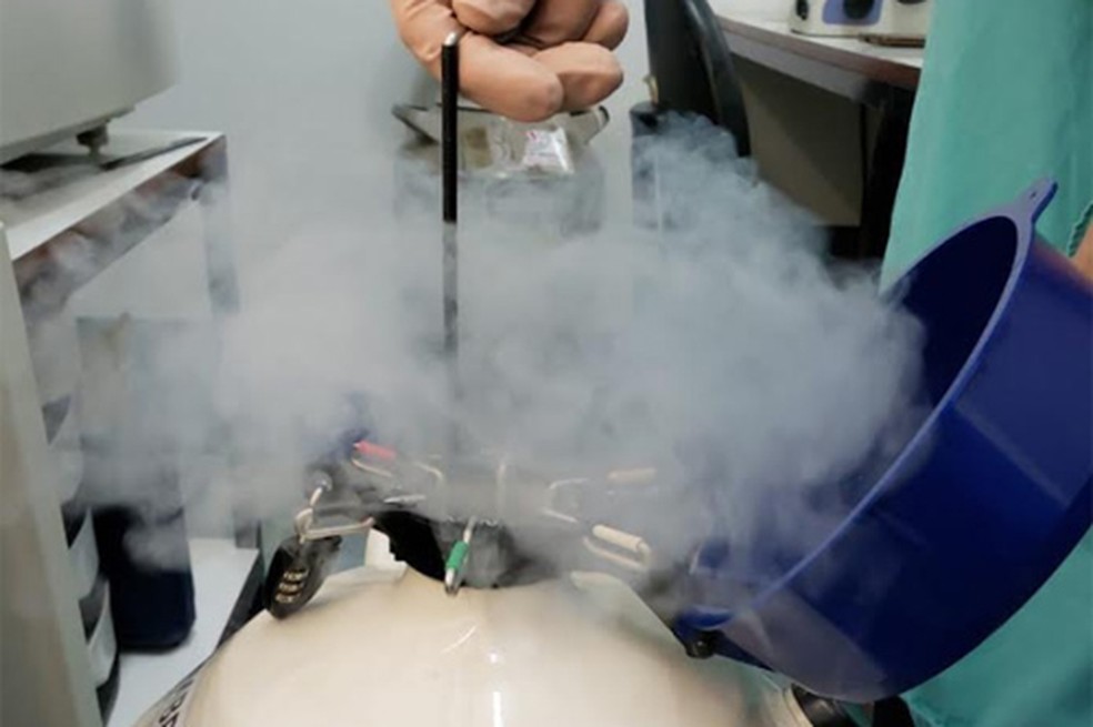 Tanque de armazenagem de embriões congelados no Hospital Materno Infantil de Brasília — Foto: Hmib/Divulgação
