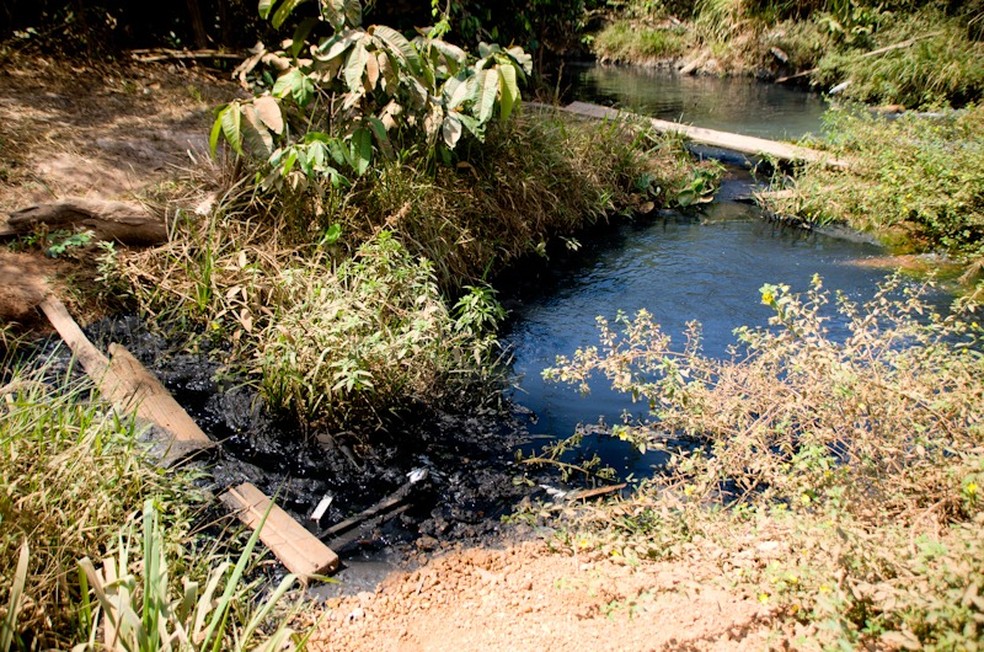 Dejetos estariam contaminando um afluente do Rio Curupi, em Sinop â Foto: ReproduÃ§Ã£o/TVCA