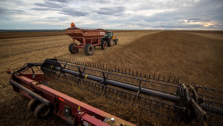 caminhos da safra - soja - porto - rodovia - máquinas agrícolas - bahia  (Foto: Fellipe Abreu/Editora Globo)