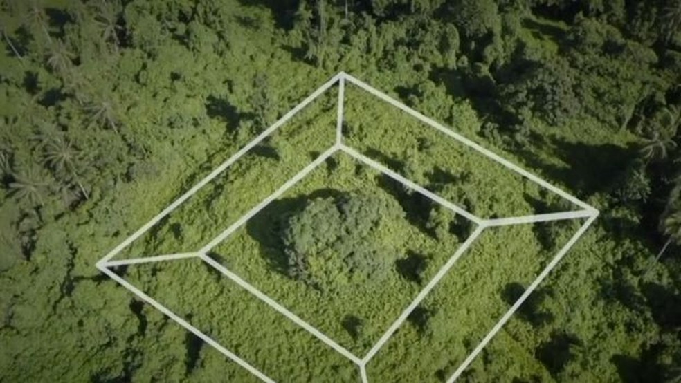 A pirâmide foi engolida pela floresta e arqueólogos estão tentando escavá-la — Foto: BBC