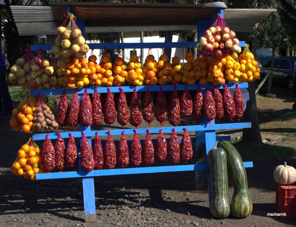 Venda do pinhão no Paraná é permitida a partir de 1º de abril — Foto: Aen/Divulgação