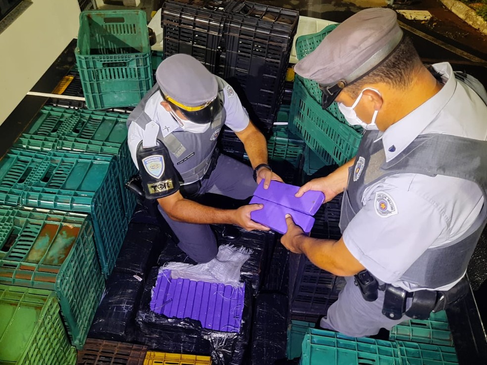 Grupo é preso ao ser flagrado transportando cerca de uma tonelada e meia de maconha em Boituva — Foto: Polícia Militar Rodoviária/Divulgação
