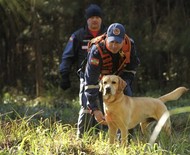 Johny, o cão bombeiro que participou das operações em Brumadinho (MG)