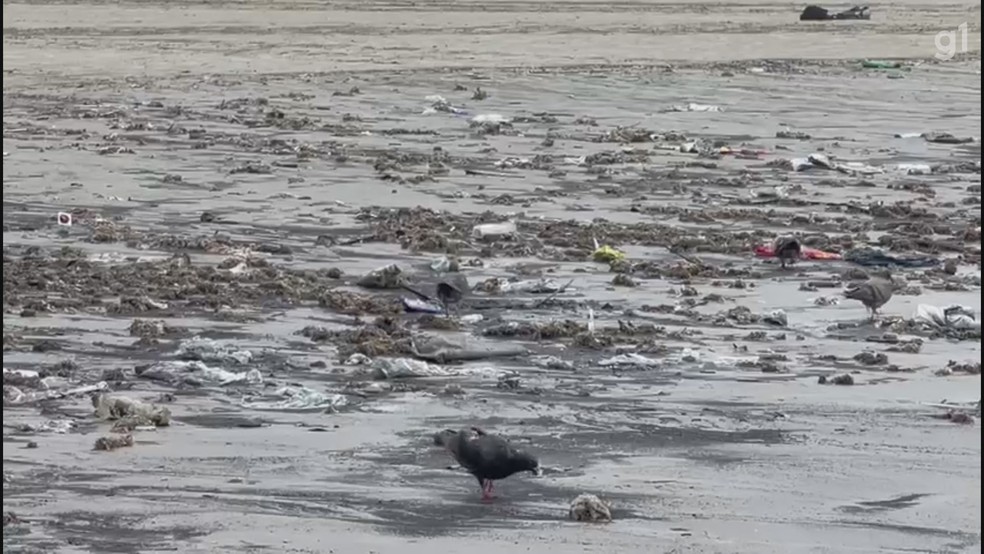 Faixa de areia é tomada por resíduos em São Vicente, SP — Foto: Reprodução g1