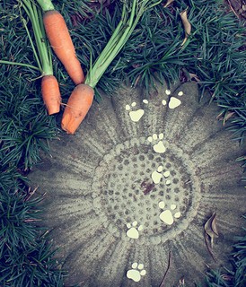 Na brincadeira das crianças, patinhas de papel e cenouras mordidas espalhadas pelo jardim são pistas do caminho percorrido pelo coelho