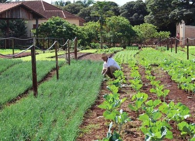Agricultura familiar (Foto: Divulgação)