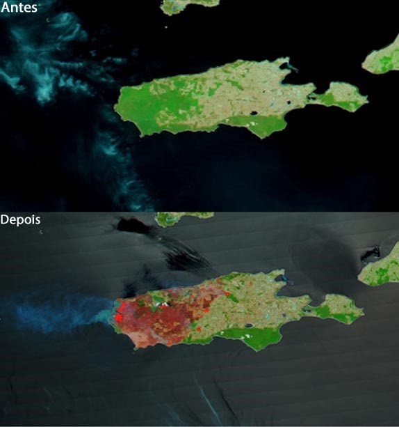 Nasa mostra ilha da Austrália antes e depois dos incêndios; 'cicatrizes' aparecem em um terço do território thumbnail