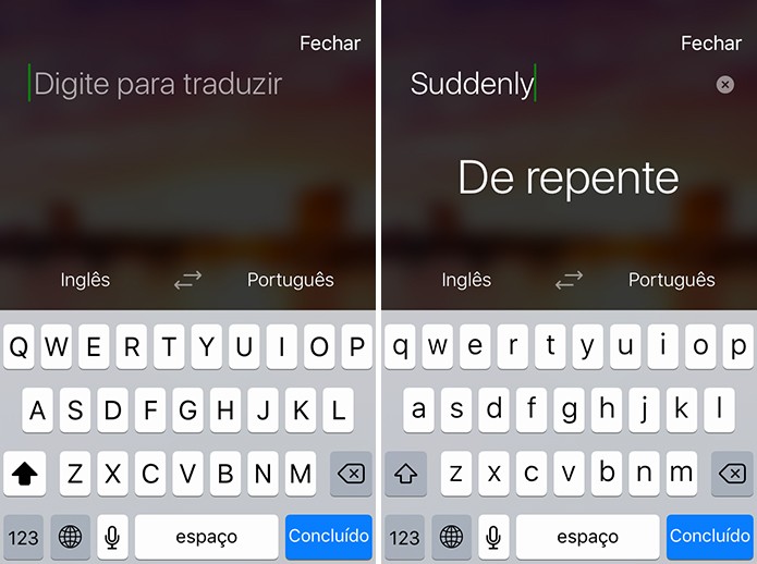Microsoft Translator pode agora fazer traduções sem internet no iPhone e iPad (Foto: Reprodução/Elson de Souza)