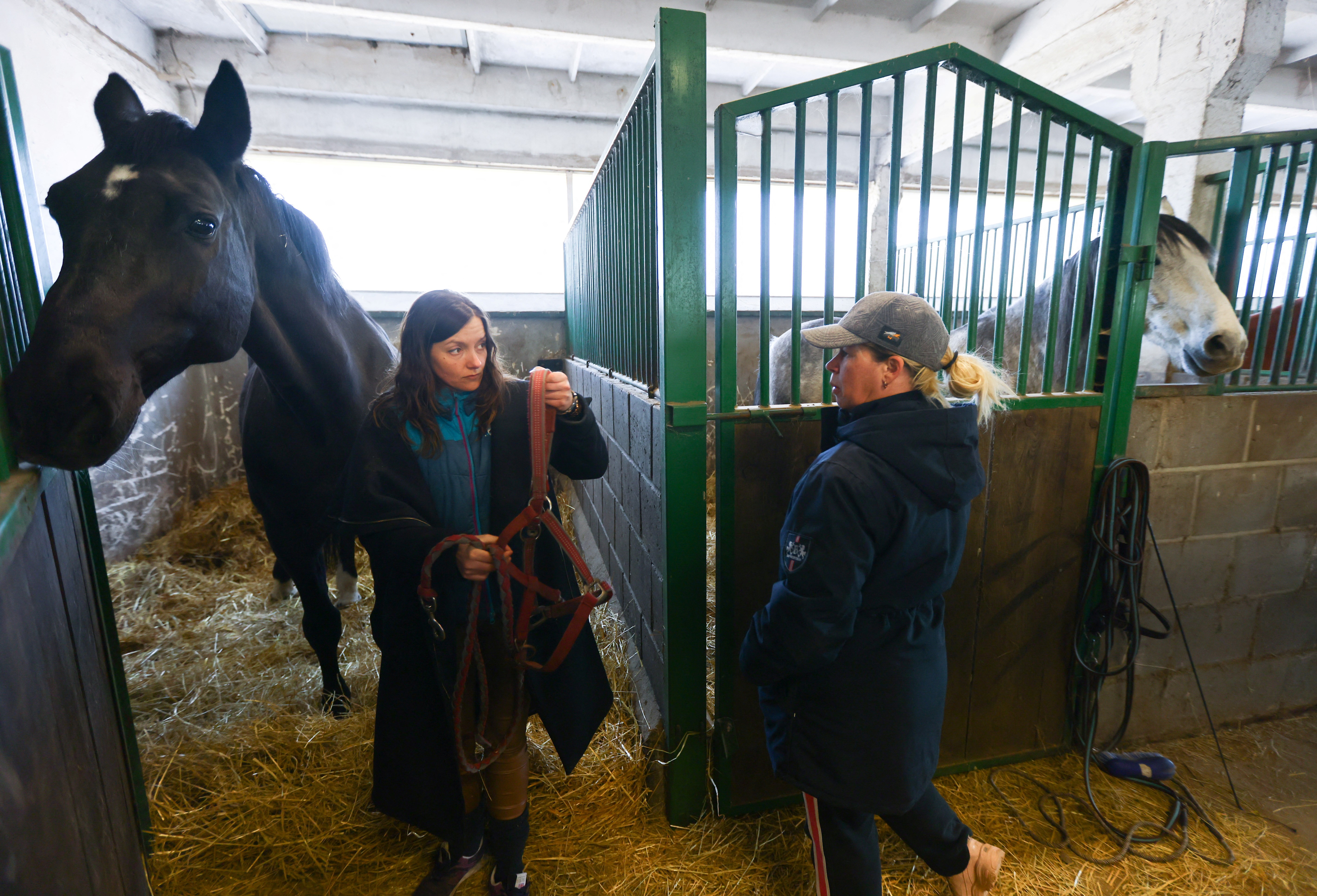 Em meio à guerra, ucraniana sai da Estônia para resgatar cavalo em Kiev