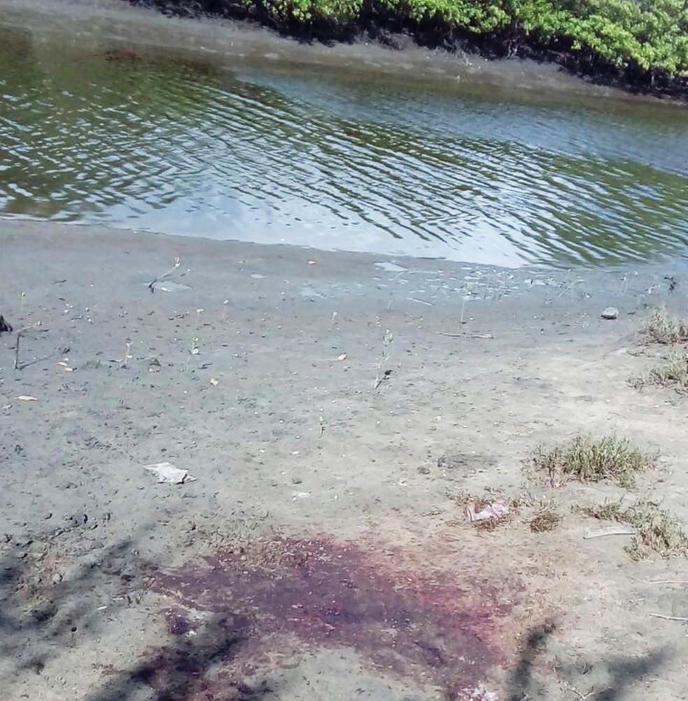 Todos os membros do corpo foram arrancados do tronco e espalhados em uma Ã¡rea de mangue, prÃ³ximo ao Rio Potengi.  â€” Foto: PM/DivulgaÃ§Ã£o