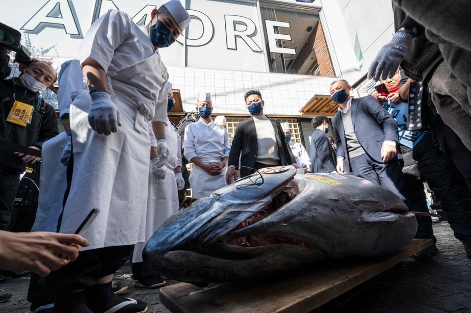 Chefes de cozinha observam o peixe comprado no início do dia por mais R$ 1,4 milhão no primeiro leilão de atum do Ano Novo