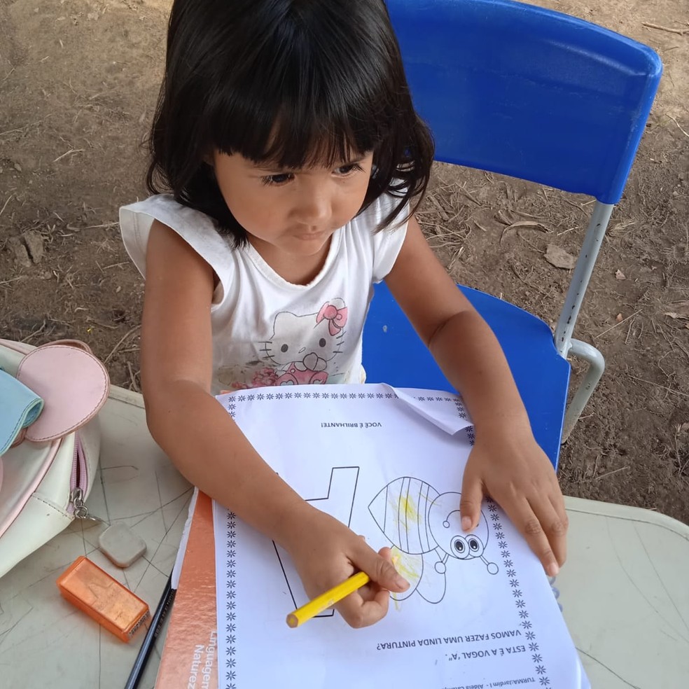 Escola de crianças está alagada em Lagoa da Confusão — Foto: Divulgação/ Wagner Krahô-kanela