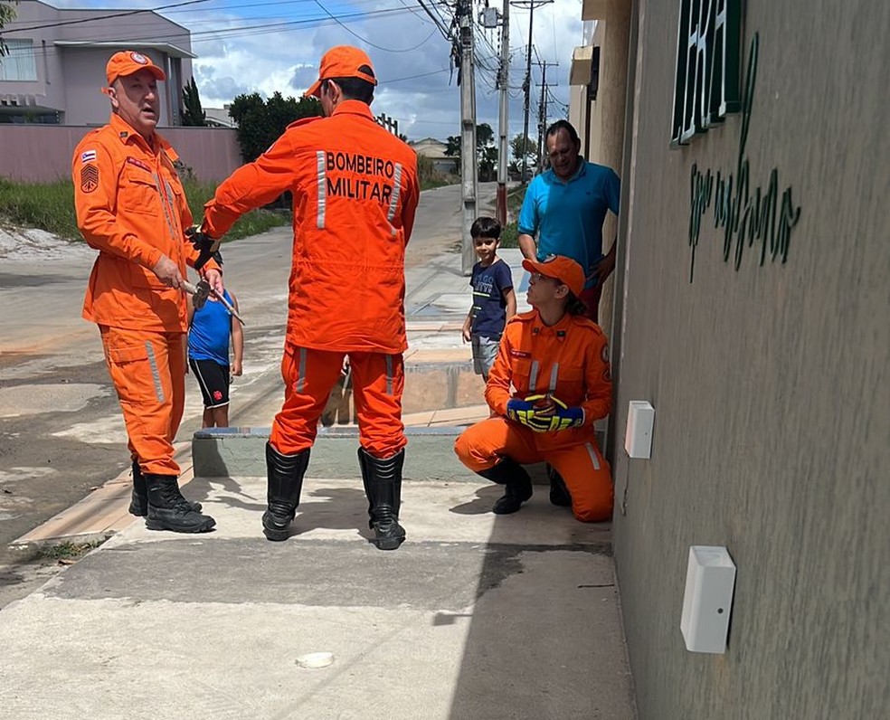 Gato é resgatado após ficar com cabeça presa em muro de clínica no extremo sul da Bahia — Foto: Divulgação/Corpo de Bombeiros