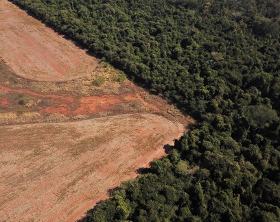 Brasil perdeu tempo para aperfeiçoar lei ambiental, diz Izabella Teixeira