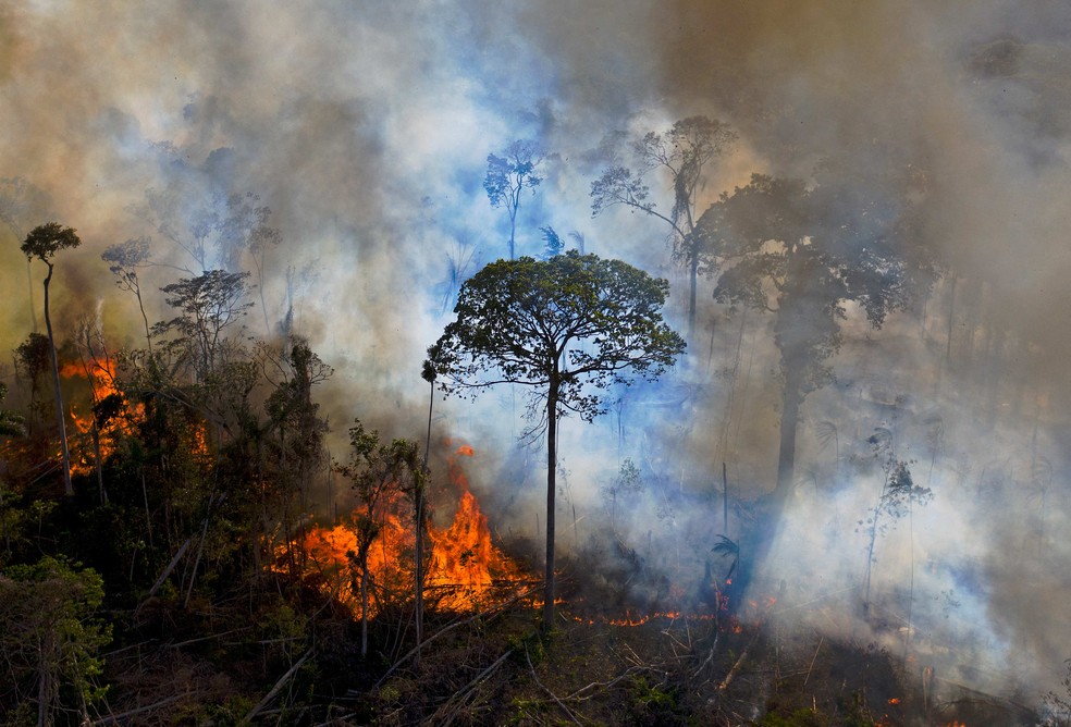 Queimada em área desmatada em Novo Progresso, no Pará, em agosto de 2020 — Foto: CARL DE SOUZA / AFP