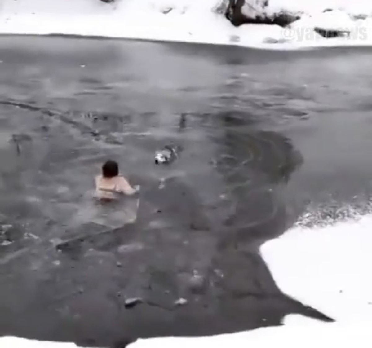 Mulher de 65 anos resgata cachorro dentro de um rio congelado na Rússia  (Foto: Site Gazeta.Ru/ @yapnews/ Divulgação)