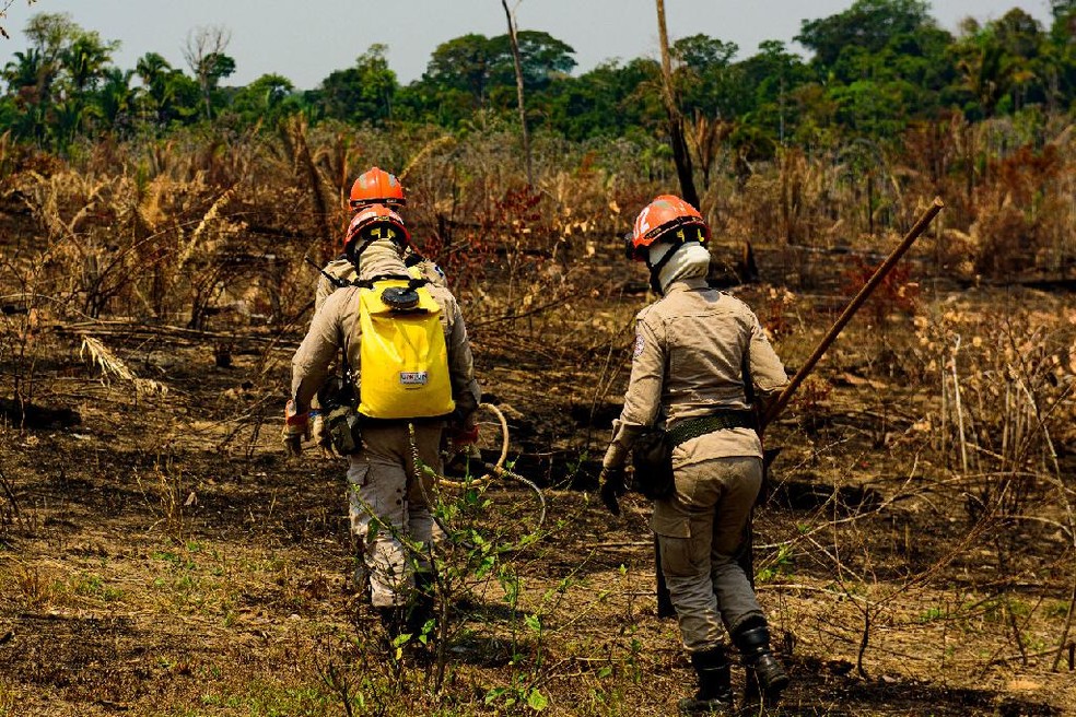 Ao combate ao desmatamento e queimadas ilegais.  Foto: Marcos Vergueiro/SECOMMT