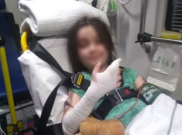 A menina estendeu o dedo para a cobra e foi picada (Foto: Reprodução/ Daily Mail)