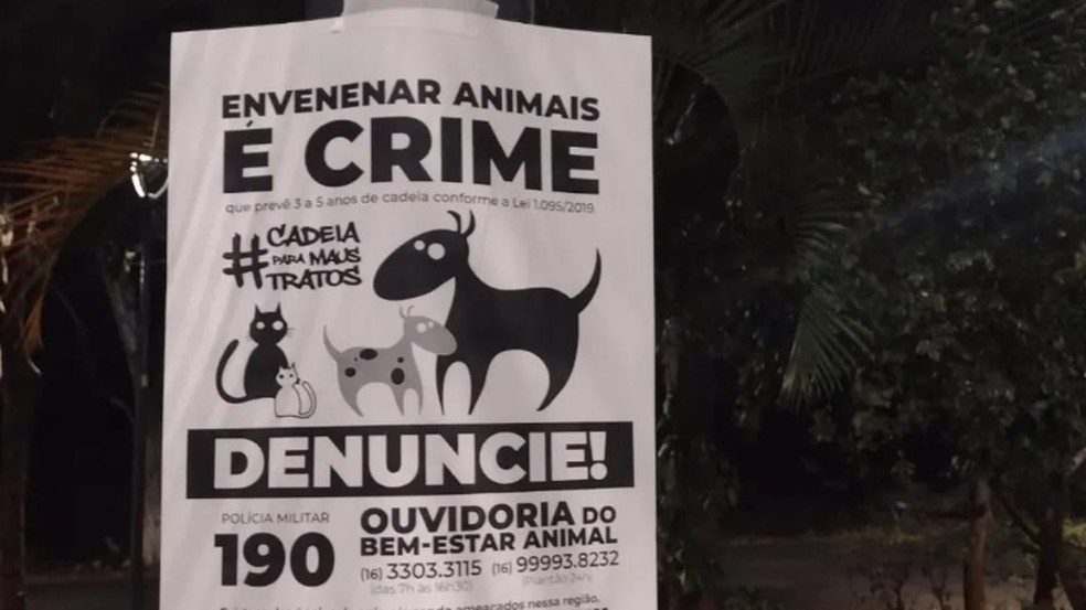 Animais morrem envenenados em bairro de Araraquara — Foto: Divulgação/ Coordenadoria de Bem-Estar animal de Araraquara