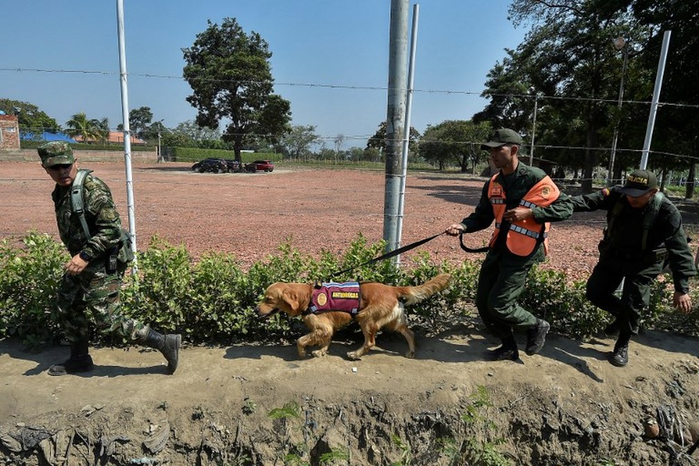 Militares colombianos escoltam integrante da Guarda Bolivariana e cachorro que fugiram da Venezuela para a ColÃ´mbia â€” Foto: Luis Robayo/AFP